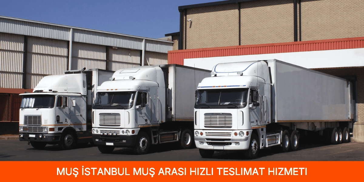 İstanbul Muş Arası Hızlı Teslimat Hizmeti