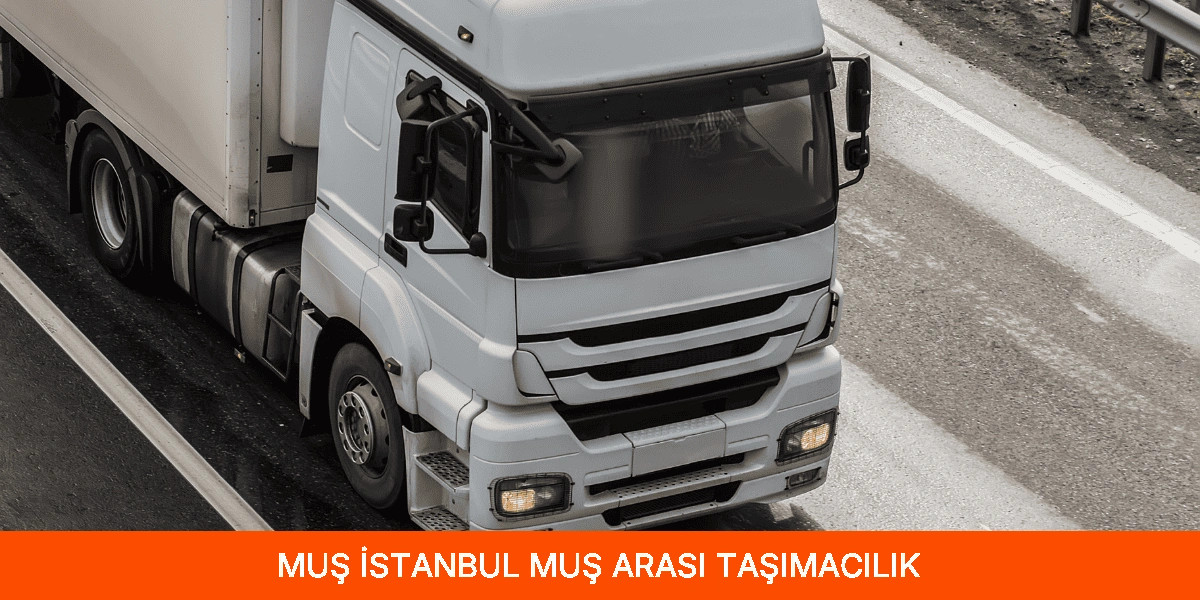 İstanbul Muş Arası Taşımacılık