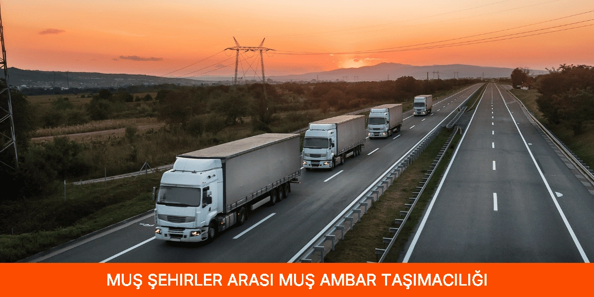 Şehirler Arası Muş Ambar Taşımacılığı